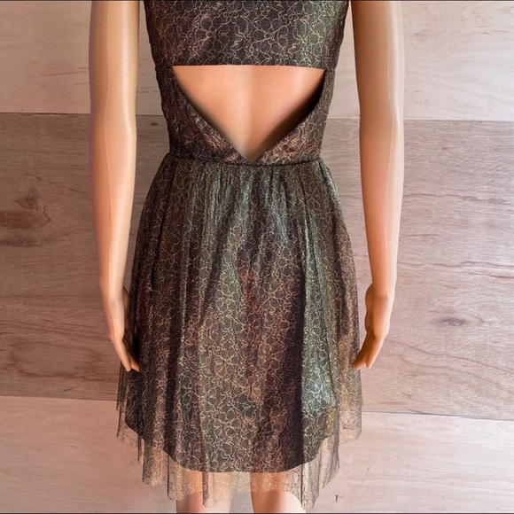 Erin Fetherston Gold Lace Floral Dress - Picture 10 of 10